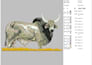 digitize your designs as u want